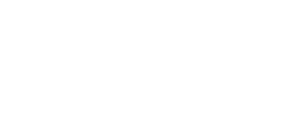 logo light